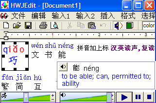Chinese Editor Software